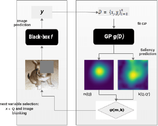 Figure 2 for Black-Box Saliency Map Generation Using Bayesian Optimisation