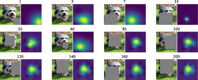 Figure 3 for Black-Box Saliency Map Generation Using Bayesian Optimisation