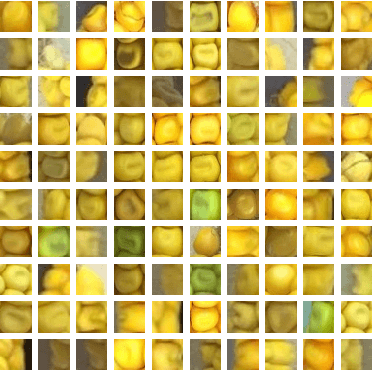 Figure 4 for Convolutional Neural Networks for Image-based Corn Kernel Detection and Counting