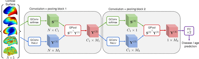 Figure 2 for Learnable Pooling in Graph Convolution Networks for Brain Surface Analysis