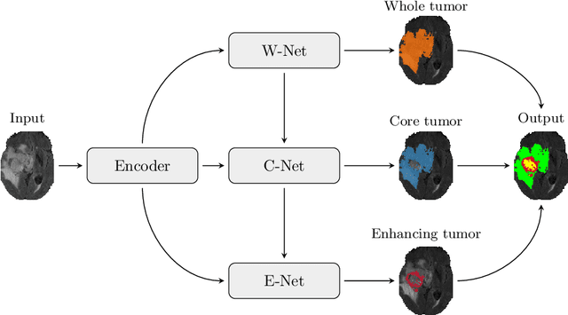 Figure 1 for Multi-Decoder Networks with Multi-Denoising Inputs for Tumor Segmentation