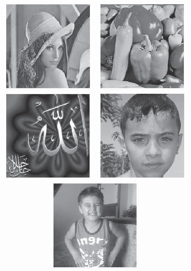 Figure 2 for k-Modulus Method for Image Transformation