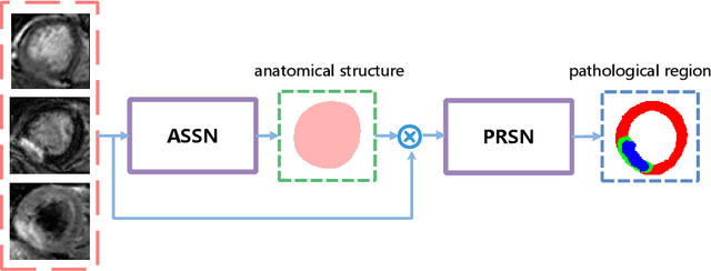 Figure 1 for Multi-Modality Pathology Segmentation Framework: Application to Cardiac Magnetic Resonance Images