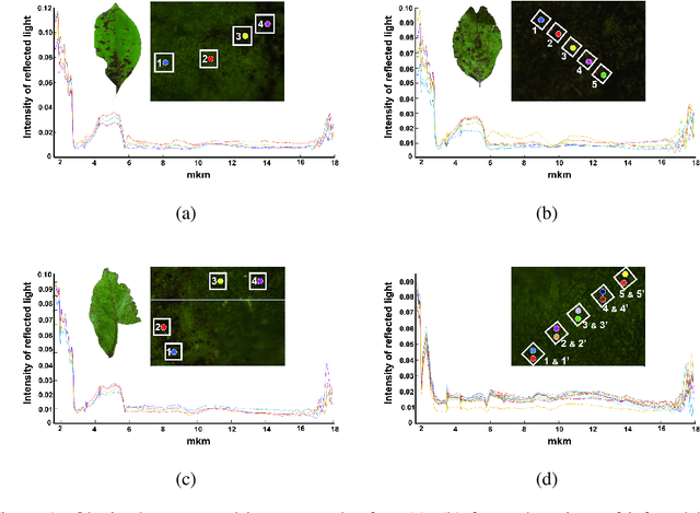 Figure 1 for Hyper-spectral NIR and MIR data and optimal wavebands for detection of apple tree diseases