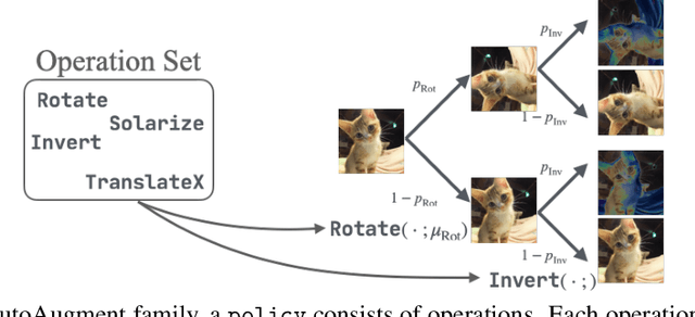 Figure 1 for Meta Approach to Data Augmentation Optimization