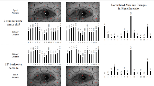 Figure 2 for Assessment of Shift-Invariant CNN Gaze Mappings for PS-OG Eye Movement Sensors