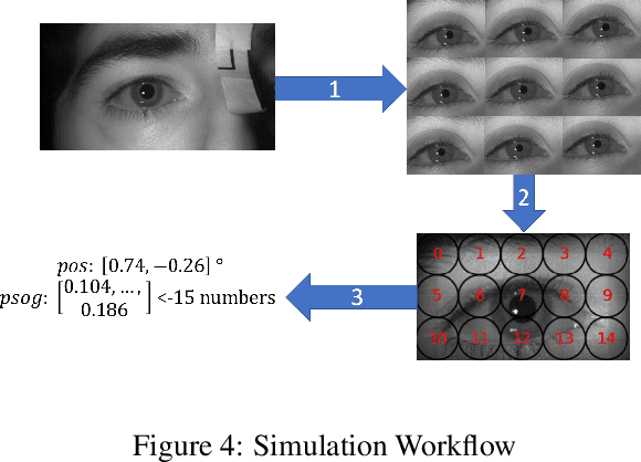 Figure 4 for Assessment of Shift-Invariant CNN Gaze Mappings for PS-OG Eye Movement Sensors