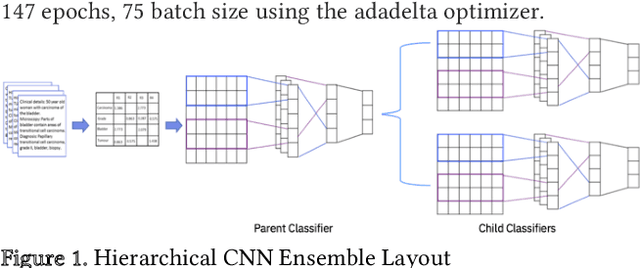 Figure 1 for Hierarchical Deep Learning Ensemble to Automate the Classification of Breast Cancer Pathology Reports by ICD-O Topography