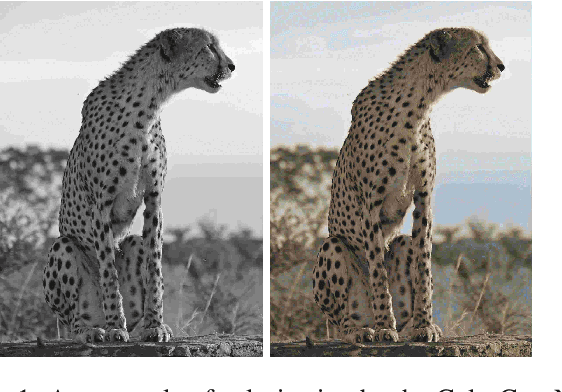 Figure 1 for Image Colorization By Capsule Networks