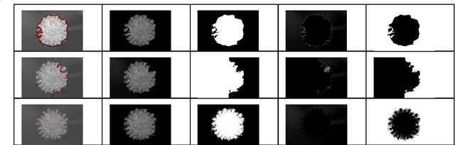 Figure 2 for Spectral Graph Cut from a Filtering Point of View