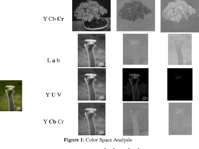Figure 1 for Salient Region Detection and Segmentation in Images using Dynamic Mode Decomposition