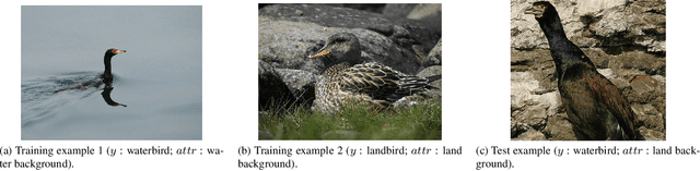 Figure 1 for Learning Representations Robust to Group Shifts and Adversarial Examples