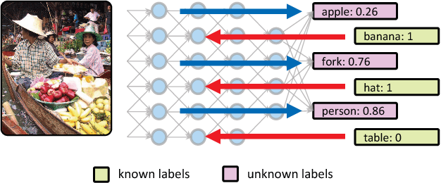 Figure 1 for Feedback-prop: Convolutional Neural Network Inference under Partial Evidence