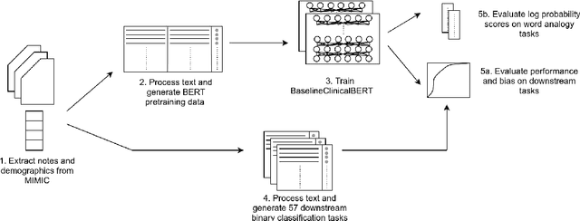 Figure 3 for Hurtful Words: Quantifying Biases in Clinical Contextual Word Embeddings