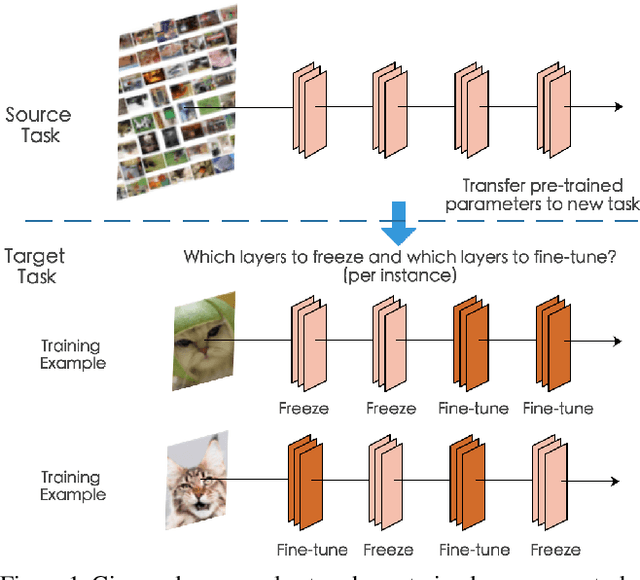 Figure 1 for SpotTune: Transfer Learning through Adaptive Fine-tuning