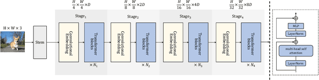 Figure 3 for Convolutional Embedding Makes Hierarchical Vision Transformer Stronger