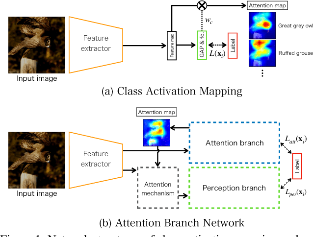 Figure 1 for Attention Branch Network: Learning of Attention Mechanism for Visual Explanation
