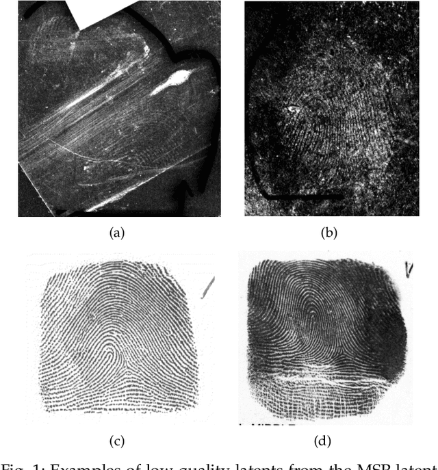 Figure 1 for End-to-End Latent Fingerprint Search
