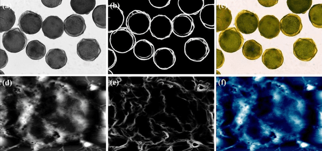 Figure 3 for Nanoscale Microscopy Images Colourisation Using Neural Networks