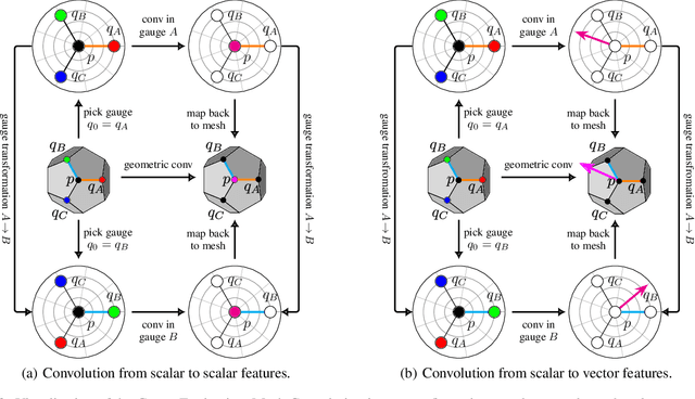 Figure 3 for Gauge Equivariant Mesh CNNs: Anisotropic convolutions on geometric graphs