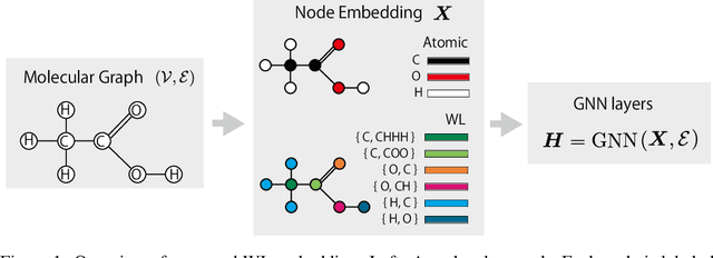 Figure 1 for Weisfeiler-Lehman Embedding for Molecular Graph Neural Networks
