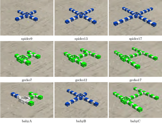 Figure 3 for Learning Directed Locomotion in Modular Robots with Evolvable Morphologies