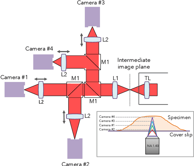 Figure 1 for Fast and robust multiplane single molecule localization microscopy using deep neural network