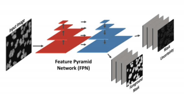 Figure 1 for Using Deep Learning for Segmentation and Counting within Microscopy Data