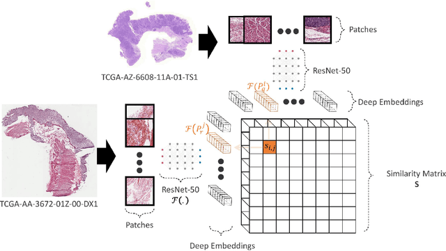 Figure 1 for A Similarity Measure of Histopathology Images by Deep Embeddings