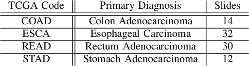 Figure 3 for A Similarity Measure of Histopathology Images by Deep Embeddings