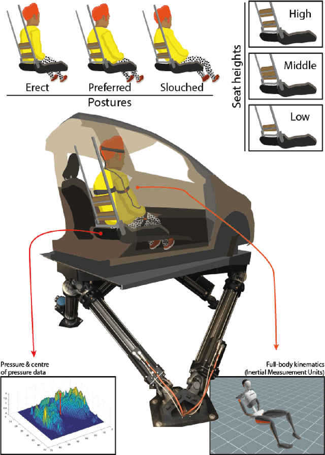 Figure 1 for Effects of seat back height and posture on 3D vibration transmission to pelvis, trunk and head