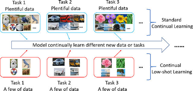 Figure 1 for Learning Continually from Low-shot Data Stream