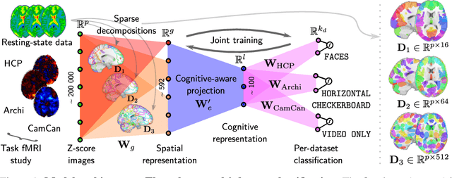 Figure 1 for Learning Neural Representations of Human Cognition across Many fMRI Studies