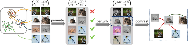 Figure 3 for Adversarial Contrastive Learning by Permuting Cluster Assignments