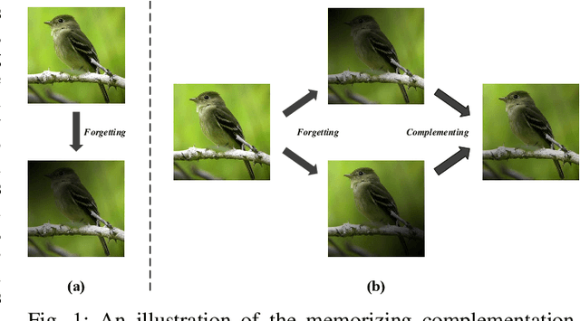 Figure 1 for Memorizing Complementation Network for Few-Shot Class-Incremental Learning