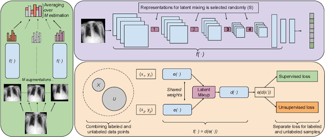 Figure 1 for Semi-supervised Medical Image Classification with Global Latent Mixing