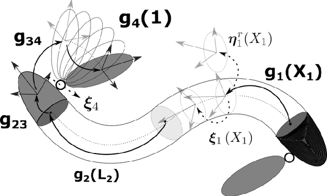 Figure 1 for SoRoSim: a MATLAB Toolbox for Soft Robotics Based on the Geometric Variable-strain Approach