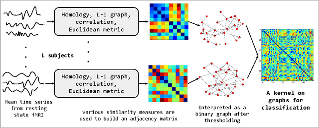 Figure 1 for Autism Spectrum Disorder Classification using Graph Kernels on Multidimensional Time Series