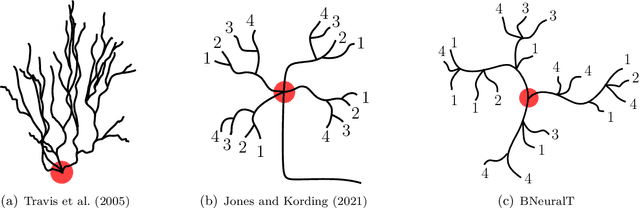 Figure 3 for Backpropagation Neural Tree