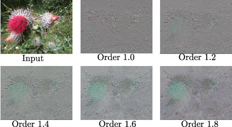 Figure 1 for Frequency learning for structured CNN filters with Gaussian fractional derivatives