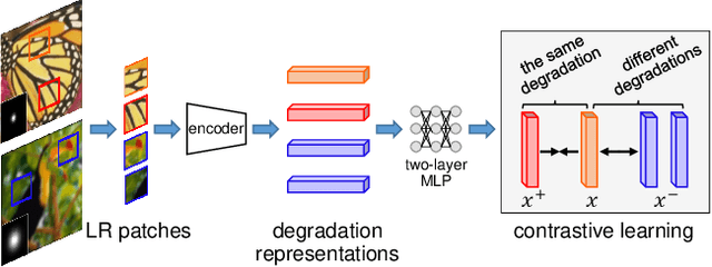 Figure 1 for Unsupervised Degradation Representation Learning for Blind Super-Resolution