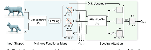 Figure 3 for Learning Multi-resolution Functional Maps with Spectral Attention for Robust Shape Matching