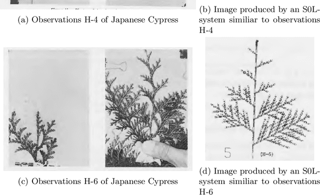 Figure 1 for Stochastic L-system Inference from Multiple String Sequence Inputs
