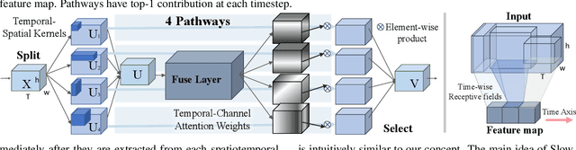 Figure 3 for Blockwise Temporal-Spatial Pathway Network