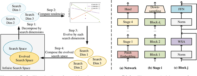 Figure 1 for Searching the Search Space of Vision Transformer