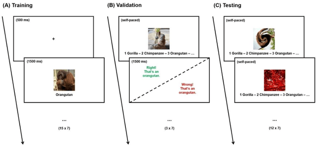 Figure 3 for Seeing Eye-to-Eye? A Comparison of Object Recognition Performance in Humans and Deep Convolutional Neural Networks under Image Manipulation