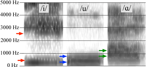 Figure 1 for A Deep Generative Model of Vowel Formant Typology