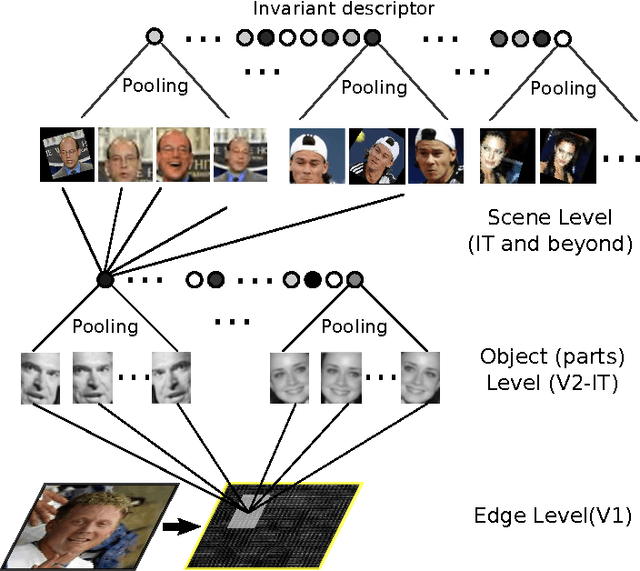 Figure 1 for Can a biologically-plausible hierarchy effectively replace face detection, alignment, and recognition pipelines?