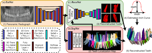 Figure 1 for X2Teeth: 3D Teeth Reconstruction from a Single Panoramic Radiograph