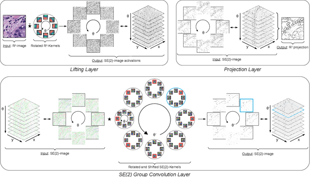 Figure 1 for Roto-Translation Equivariant Convolutional Networks: Application to Histopathology Image Analysis